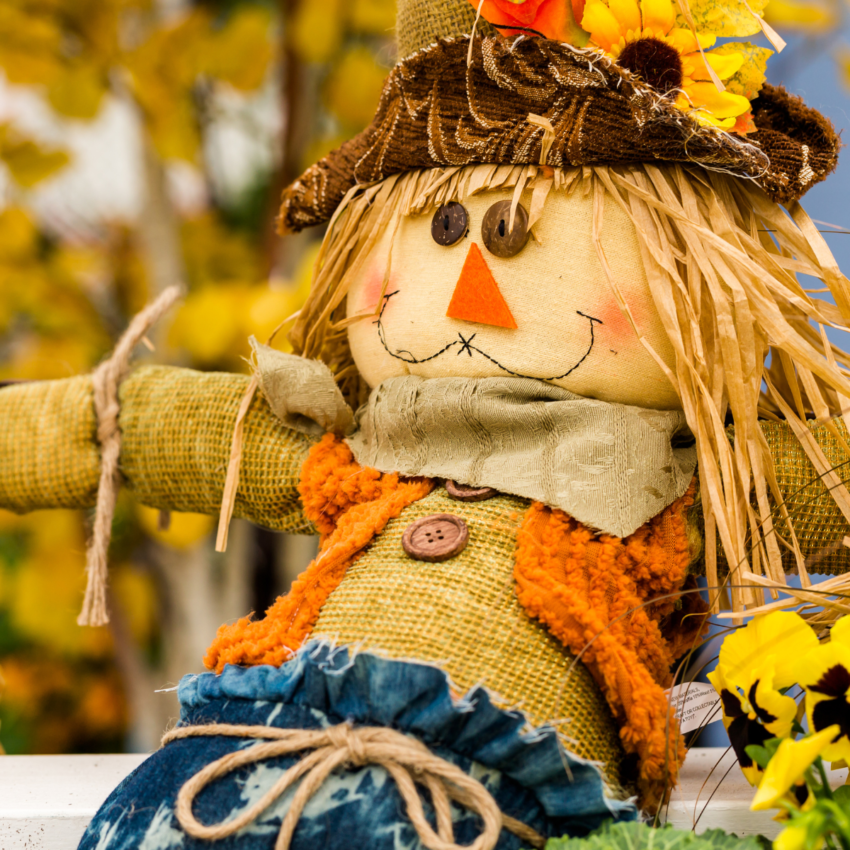 Scarecrow in September returns